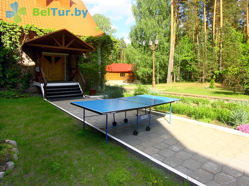 Rest in Belarus - hotel complex Plavno GK - Table tennis (Ping-pong)