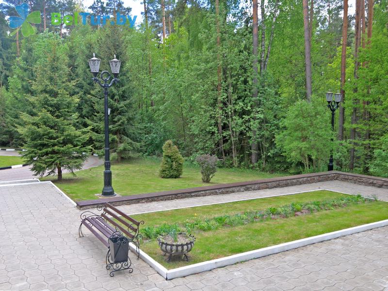 Отдых в Белоруссии Беларуси - гостиничный комплекс Плавно - Территория и природа
