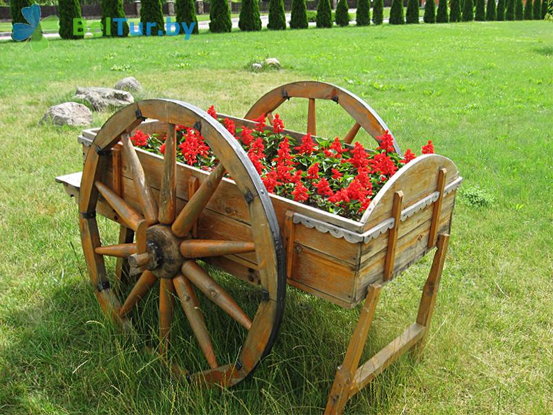 Rest in Belarus - recreation center Zolovo - Territory