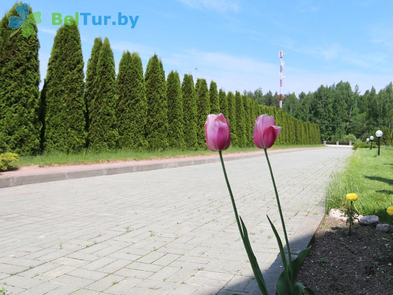 Rest in Belarus - recreation center Zolovo - Territory