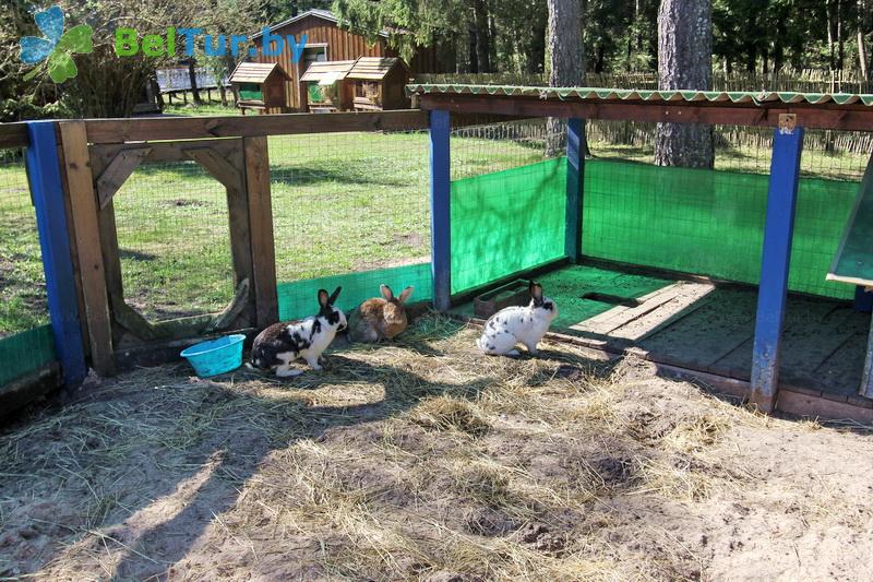 Rest in Belarus - recreation center Zolovo - Aviary