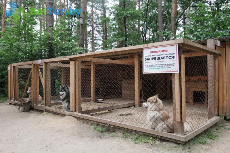 Rest in Belarus - boarding house LODE - Aviary