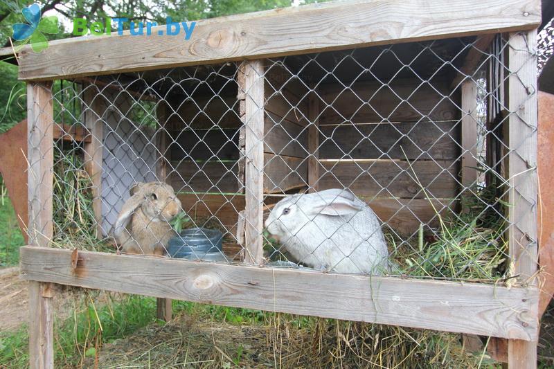 Rest in Belarus - boarding house LODE - Aviary