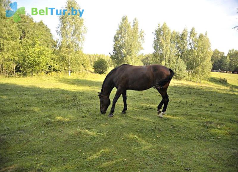 Rest in Belarus - boarding house LODE - Aviary