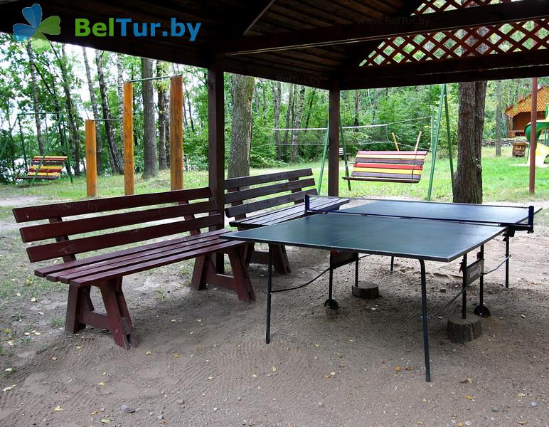 Rest in Belarus - boarding house LODE - Table tennis (Ping-pong)