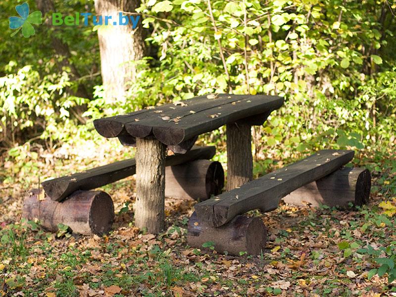 Rest in Belarus - boarding house LODE - Barbeque