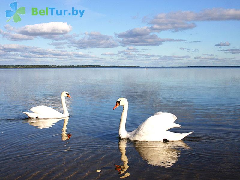 Rest in Belarus - boarding house LODE - Water reservoir