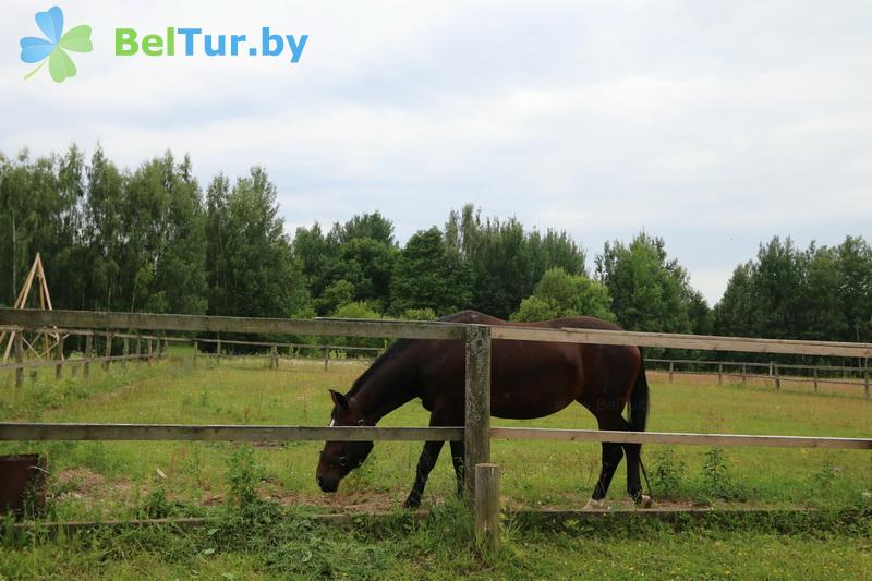 Rest in Belarus - boarding house LODE - Stable