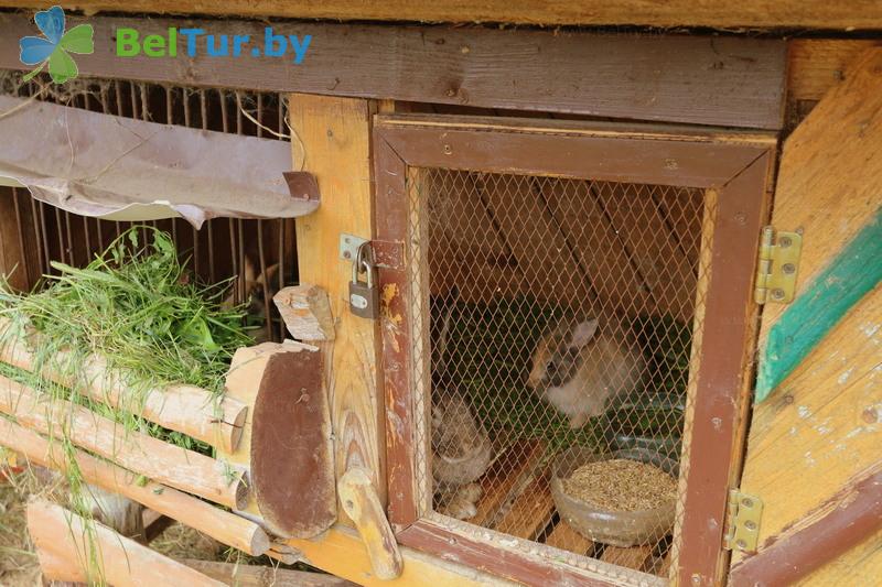 Rest in Belarus - boarding house LODE - Aviary