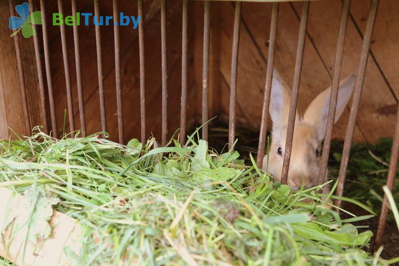 Rest in Belarus - boarding house LODE - Aviary