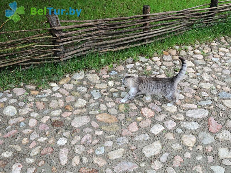 Rest in Belarus - hunter's house Pererov - Territory