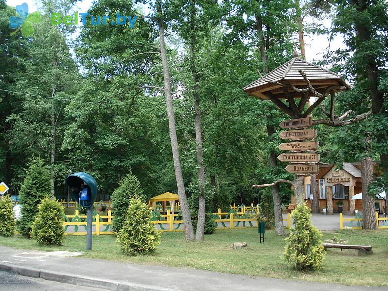 Rest in Belarus - park hotel Belovezhskaya Pushcha - Territory