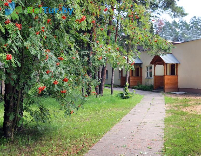 Rest in Belarus - hotel complex Kamenyuki - sauna