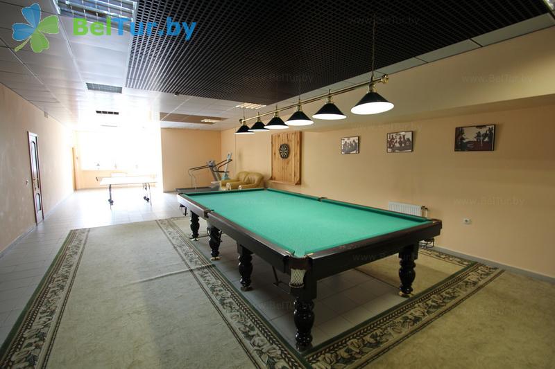 Rest in Belarus - hotel complex Kamenyuki - Billiards