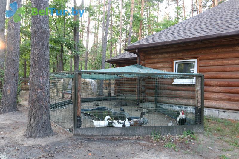 Rest in Belarus - hotel complex Rancho - Aviary