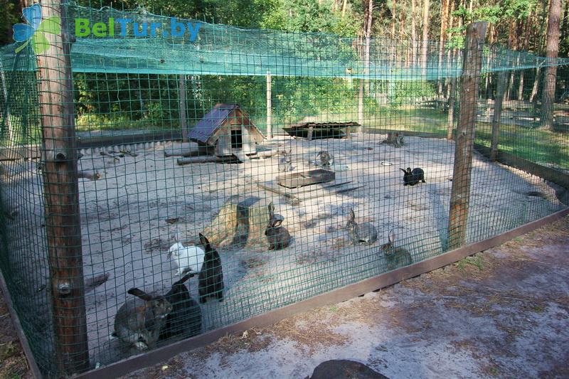 Rest in Belarus - hotel complex Rancho - Aviary