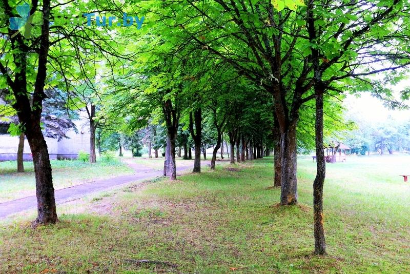 Rest in Belarus - tourist complex Pyshki - Territory