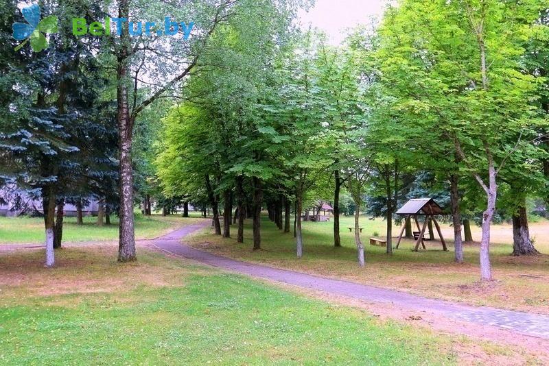 Отдых в Белоруссии Беларуси - туристический комплекс Пышки - Территория и природа