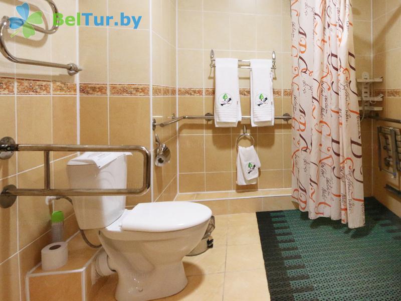 Rest in Belarus - hotel complex Nad Pripyatyu - 1-room double (for disabled people) (hotel) 