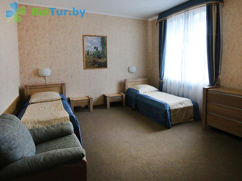 Rest in Belarus - hotel complex Nad Pripyatyu - 1-room double (for disabled people) (hotel) 