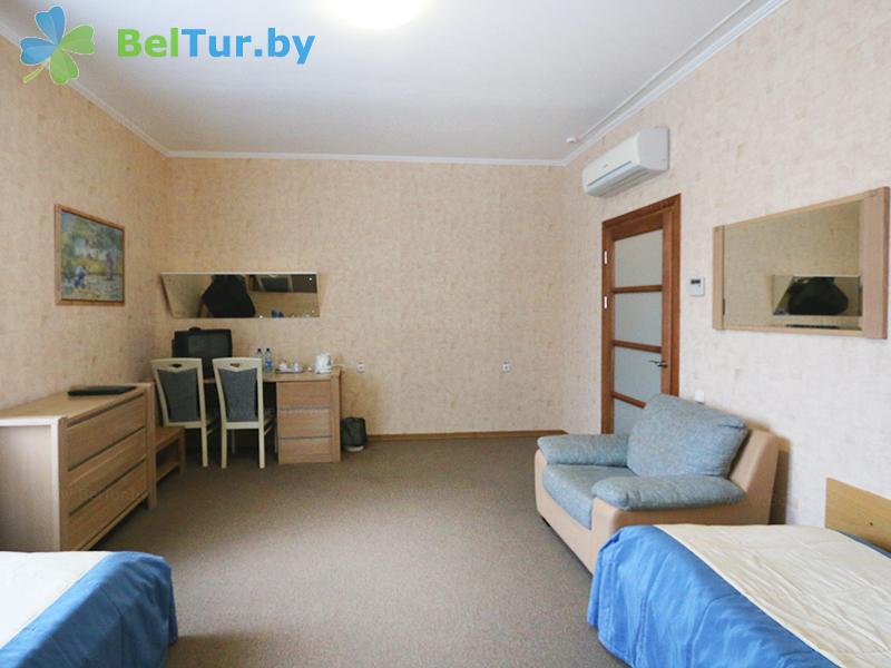 Rest in Belarus - hotel complex Nad Pripyatyu - 1-room double (for disabled people) (hotel) 