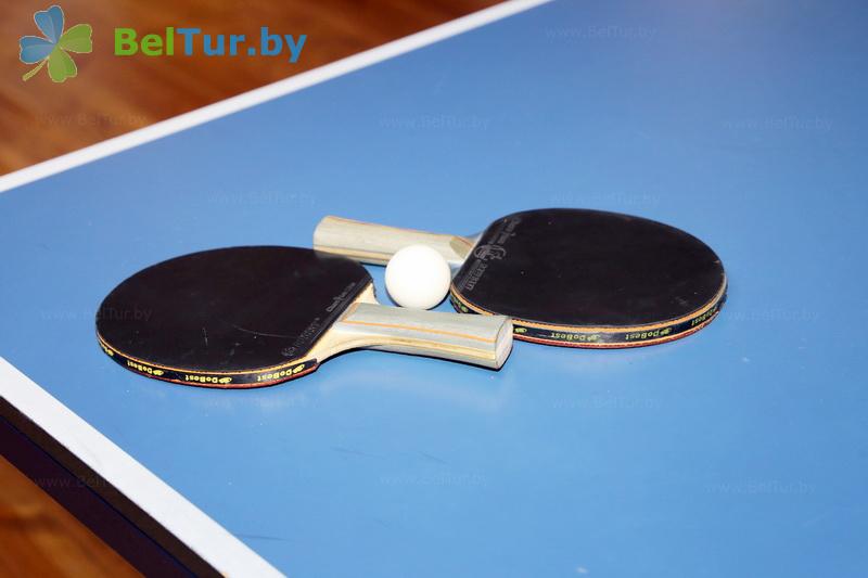 Rest in Belarus - tourist complex Nikolaevskie prudy - Table tennis (Ping-pong)