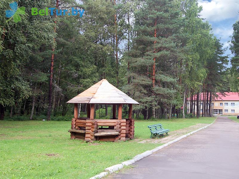 Rest in Belarus - health-improving complex Chaika - Arbour