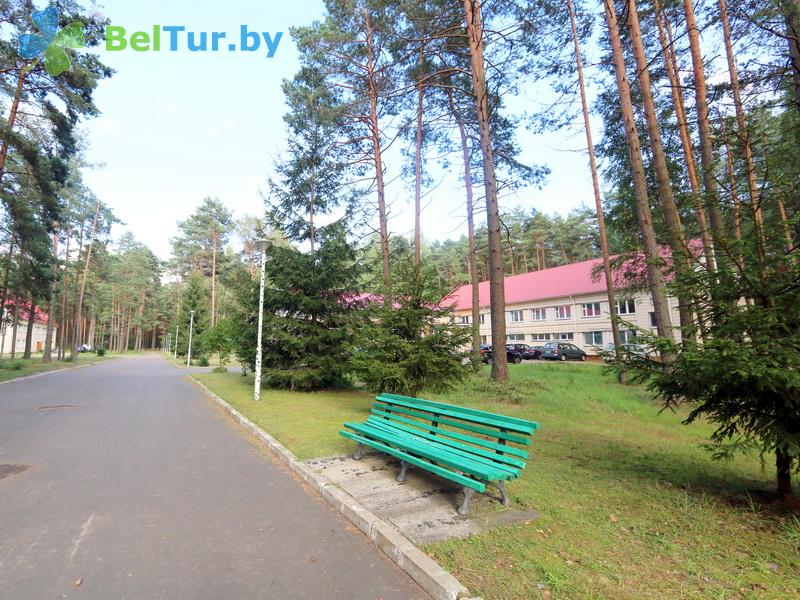 Отдых в Белоруссии Беларуси - оздоровительный комплекс Чайка - Территория и природа