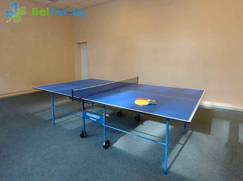 Rest in Belarus - health-improving complex Chaika - Table tennis (Ping-pong)