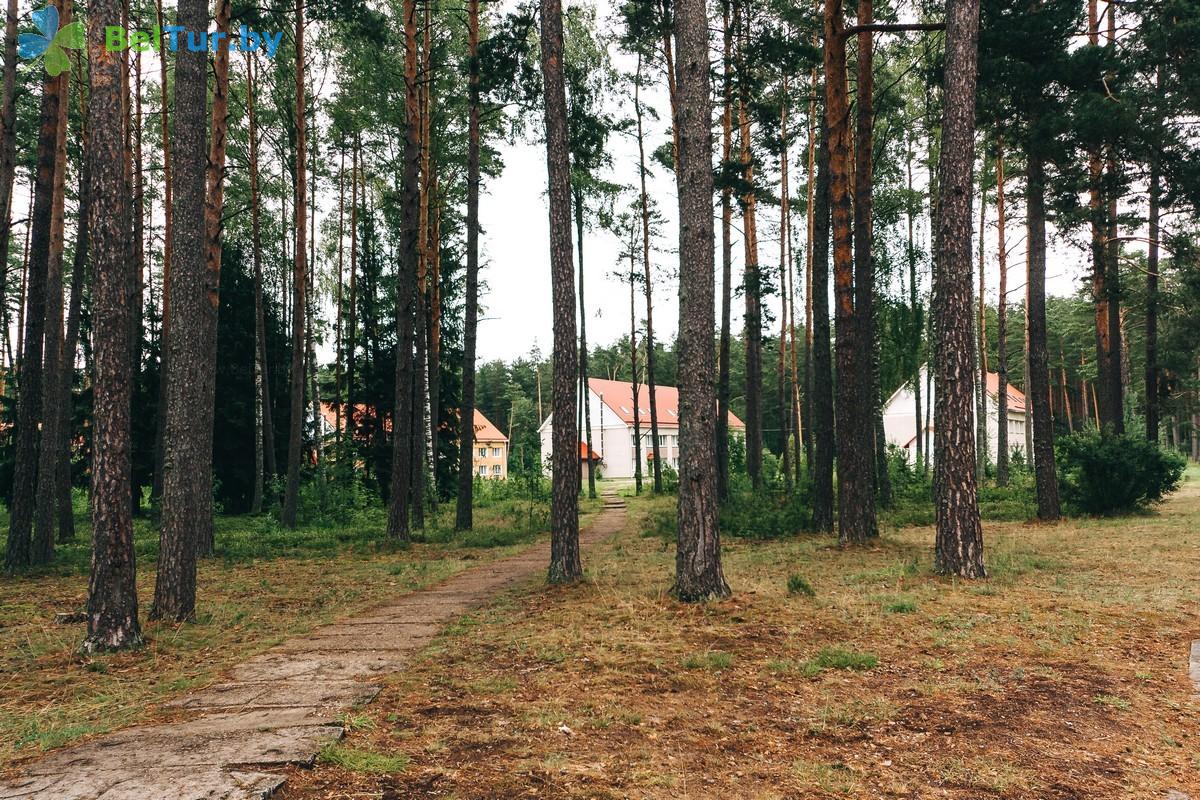 Rest in Belarus - health-improving complex Chaika - Territory
