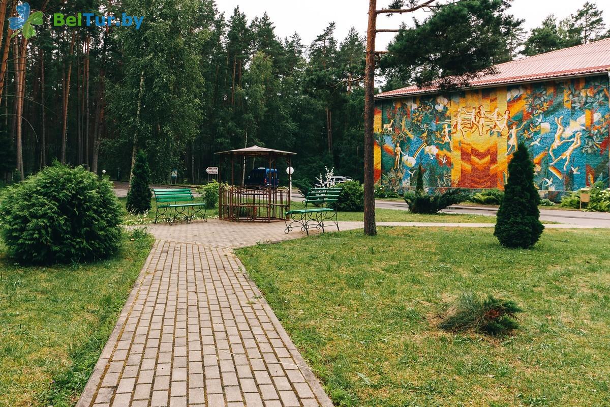 Rest in Belarus - health-improving complex Chaika - Territory