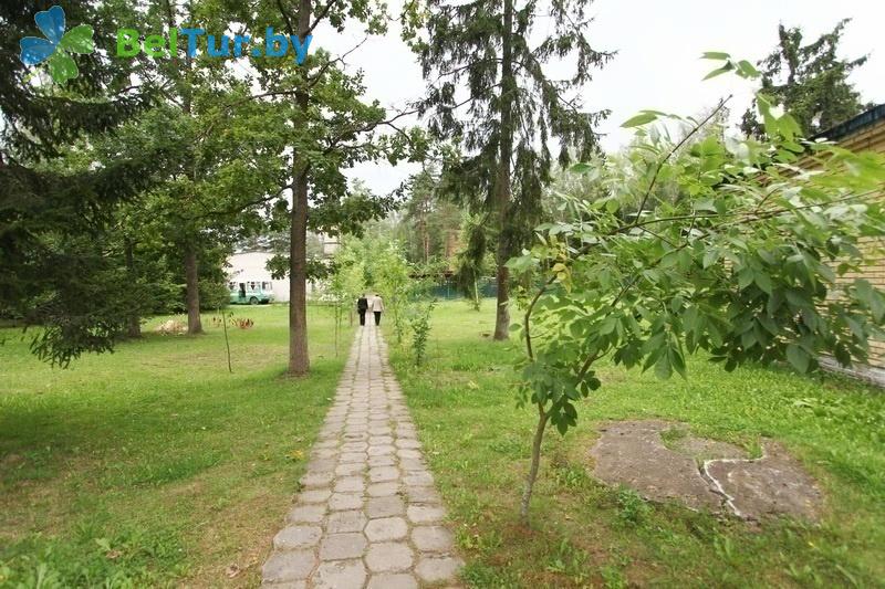 Rest in Belarus - recreation center Lesnaya polyana - Territory