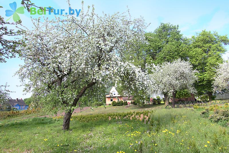 Rest in Belarus - recreation center Prigodichi - Territory