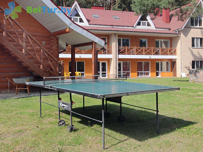 Rest in Belarus - guest house Vaspan - Table tennis (Ping-pong)