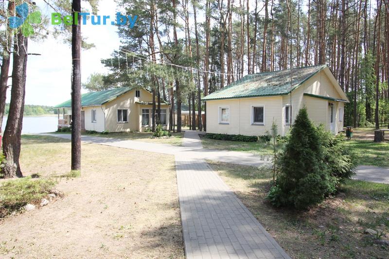 Rest in Belarus - recreation center Pleschenicy - Territory