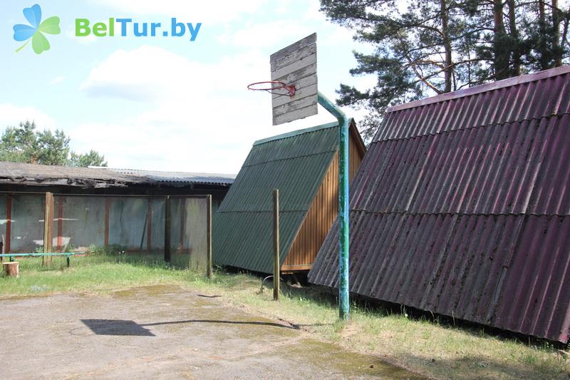 Rest in Belarus - recreation center Pleschenicy - Sportsground