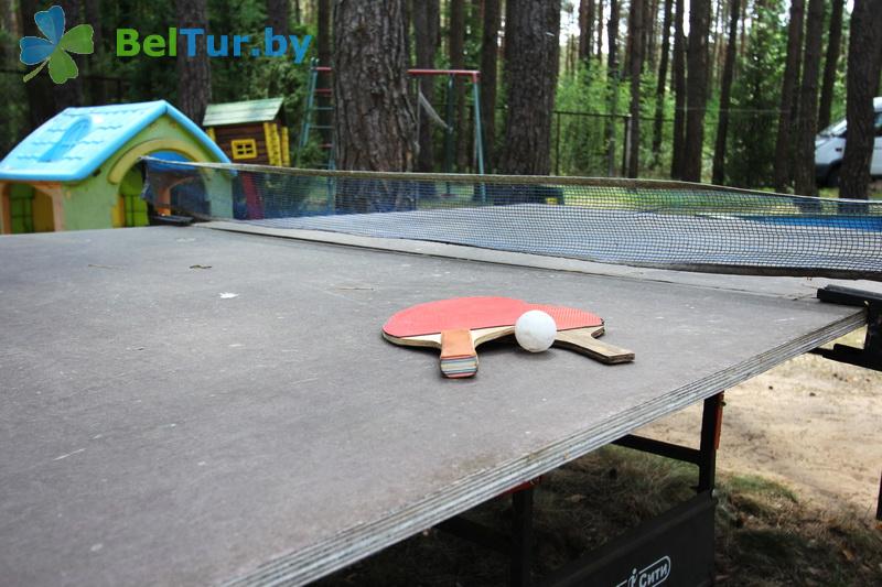 Rest in Belarus - recreation center Pleschenicy - Table tennis (Ping-pong)