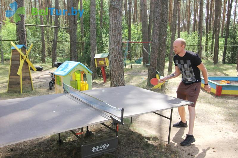 Rest in Belarus - recreation center Pleschenicy - Table tennis (Ping-pong)