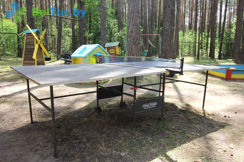 Rest in Belarus - recreation center Pleschenicy - Table tennis (Ping-pong)