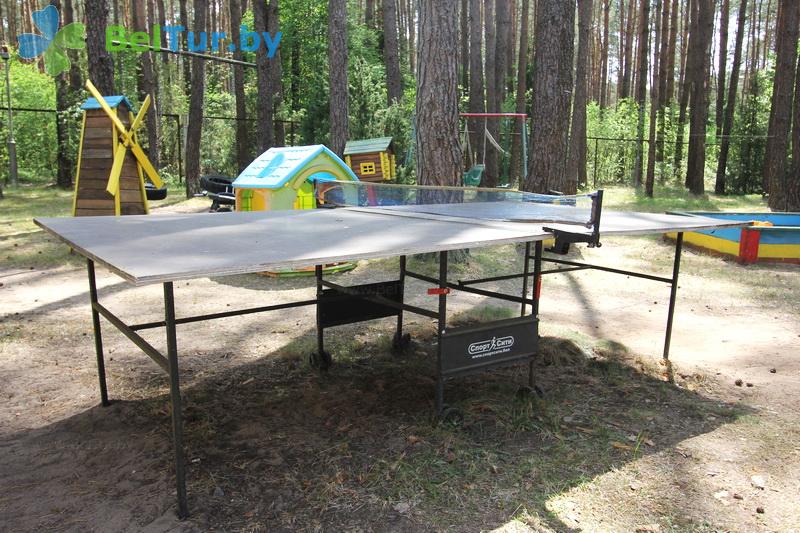 Rest in Belarus - recreation center Pleschenicy - Table tennis (Ping-pong)