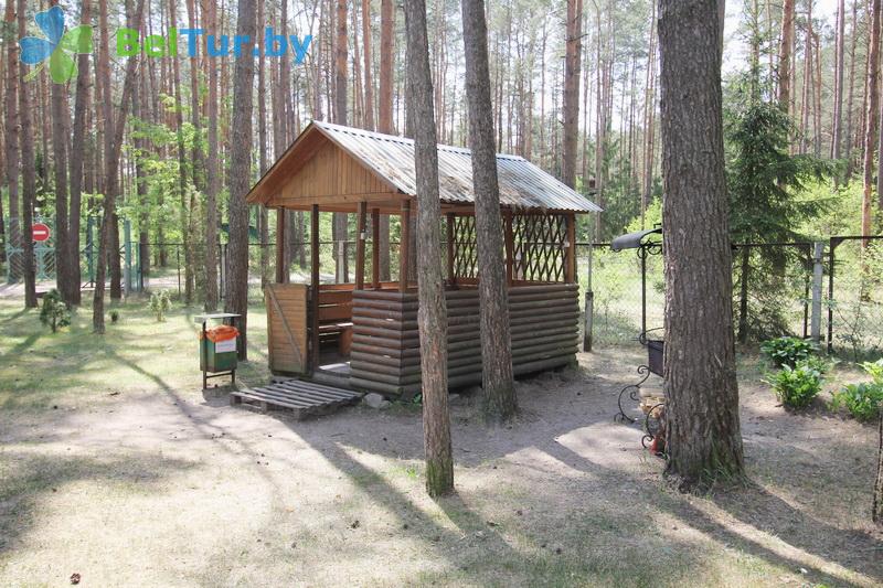 Rest in Belarus - recreation center Pleschenicy - Barbeque