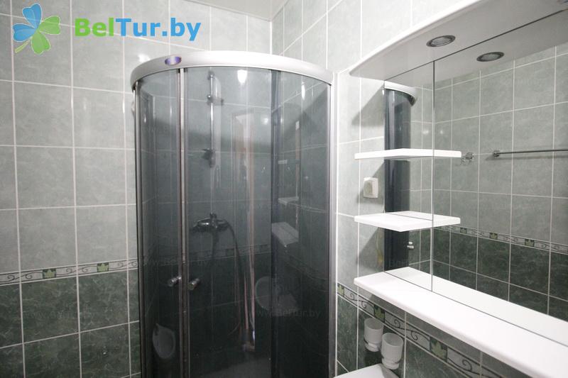 Rest in Belarus - recreation center Pleschenicy - 2-room double suite with fireplace (hotel) 