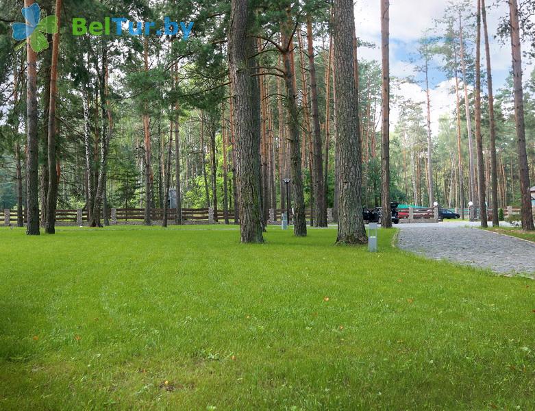 Отдых в Белоруссии Беларуси - база отдыха Лесная Гавань - Территория и природа