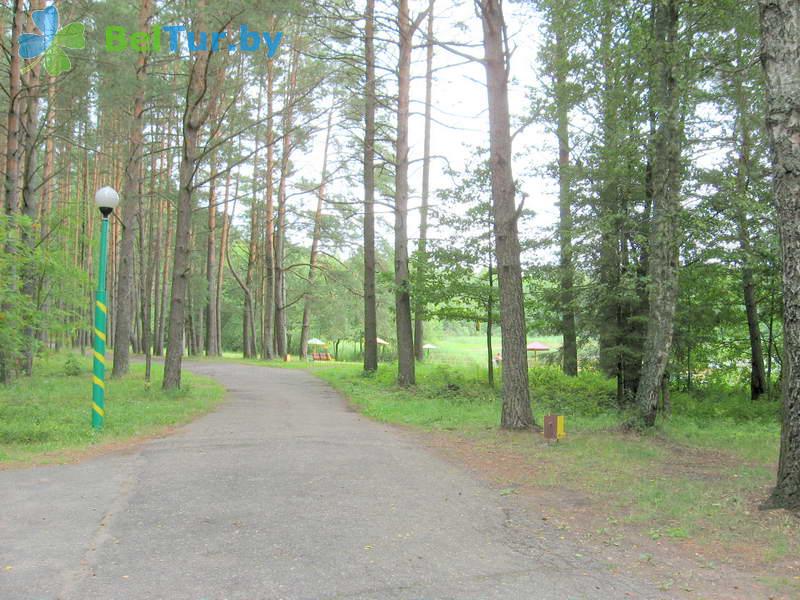 Rest in Belarus - recreation center Energetic - Territory