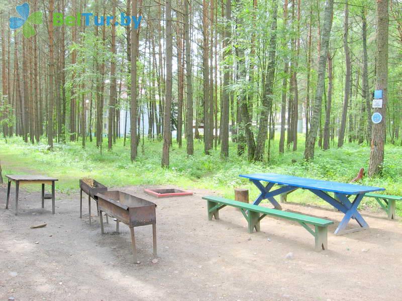 Rest in Belarus - recreation center Energetic - Barbeque