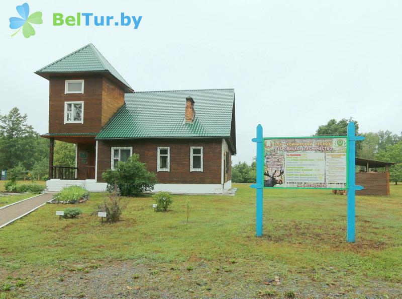 Rest in Belarus - hunter's house Hoinikskii - Territory