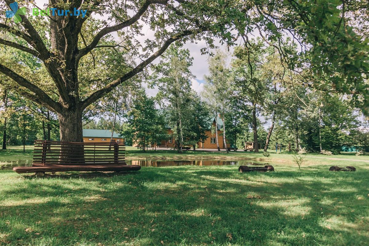 Rest in Belarus - hunter's house Hoinikskii - Territory