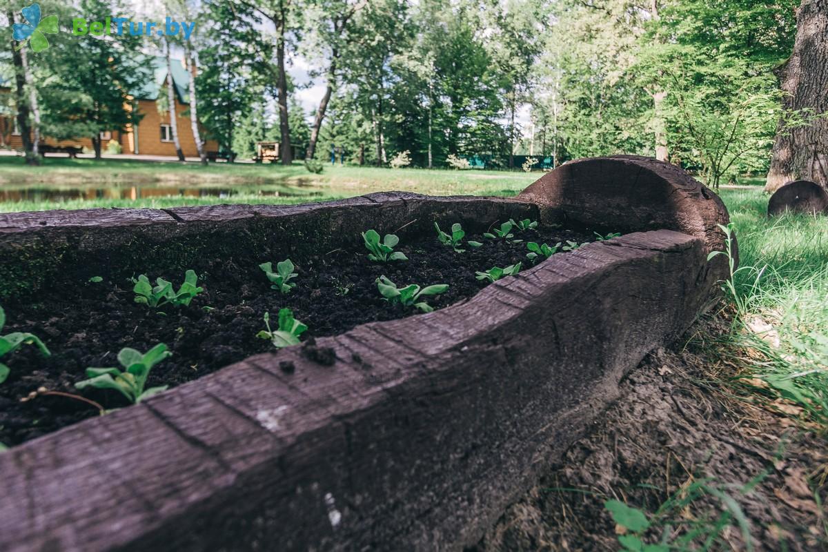 Rest in Belarus - hunter's house Hoinikskii - Territory