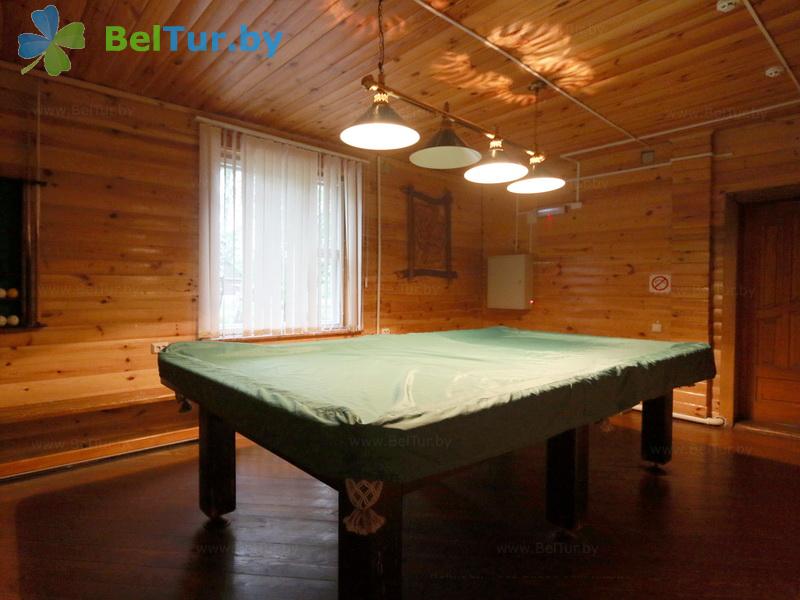 Rest in Belarus - hunter's house Hoinikskii - Billiards