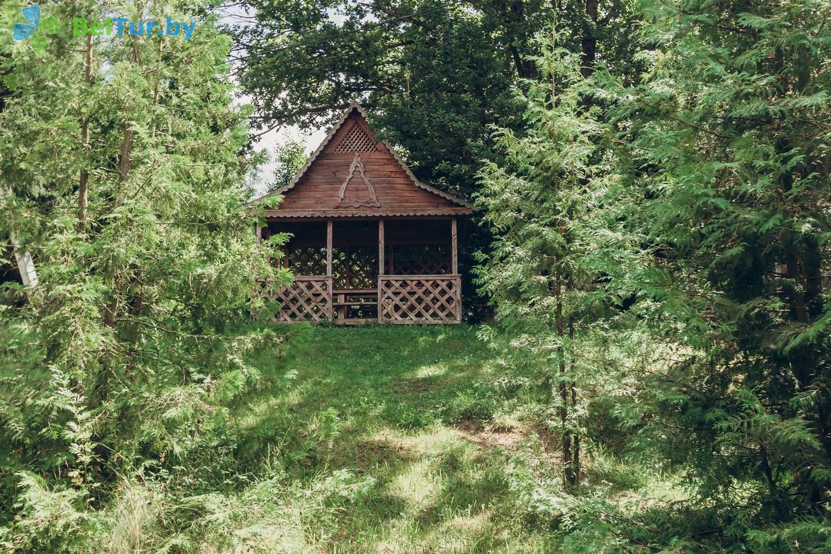 Rest in Belarus - recreation center Semigorye - Arbour